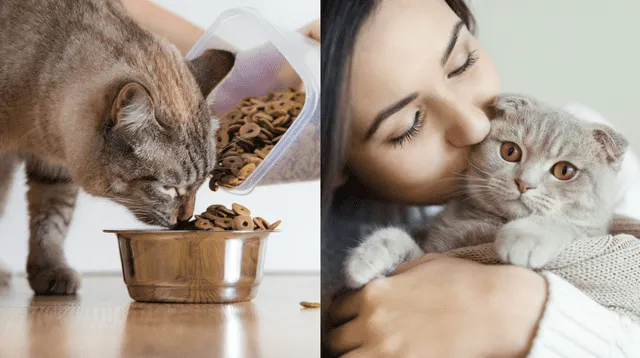 La esperanza de vida de una mascota depende de su tamaño, raza y estado de salud.