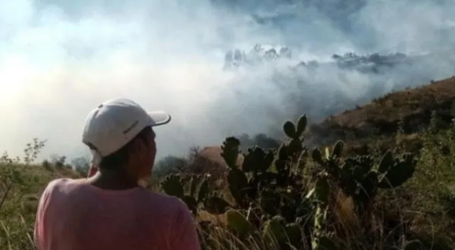 Ayacucho: Incendio de 5 días arrasó más de 130 hectáreas