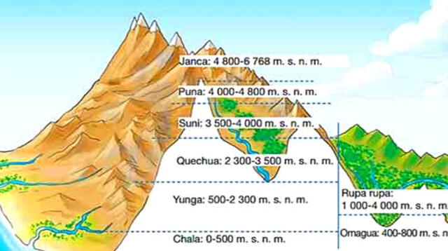 Revisas las 8 regiones naturales.