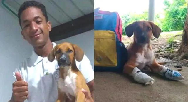 La emotiva historia del joven que caminó 60 días con su perrita de regreso a Venezuela.