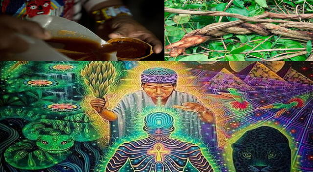 La ayahuasca es una bebida medicinal y alucinógena. Solo debe ser administrada por un chamán experto.