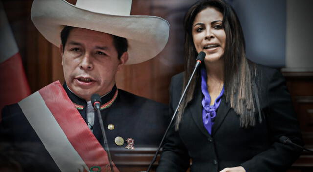 Patricia Chirinos solicitó la vacancia del presidente de la República, Pedro Castillo.