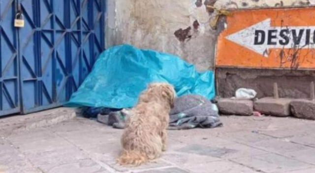 Cusco: anciano muere en la calle y su mascota se niega a dejarlo [FOTOS]