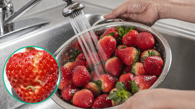 Las fresas mal lavadas pueden causar cisticercosis, hepatitis A, salmonela y otras enfermedades.