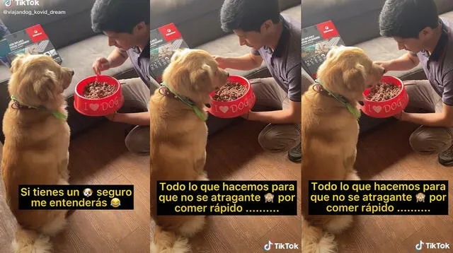 El muchacho realiza este procedimiento con la comida porque su perro come muy rápido. Foto: captura de TikTok