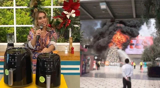 Ethel Pozo aseguró que el ver que el árbol navideño del Jockey Plaza ardiendo la dejó muy afligida, y que ahora tomaba medidas para no sufrir un incendio.