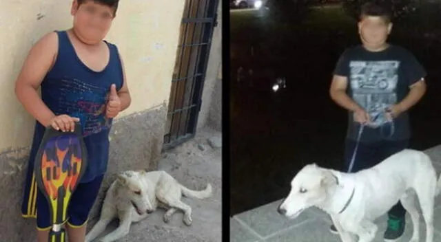 Mauco entristecido por la difícil situación del perro por lo que decidió vender su juguete favorito para ayudarlo.