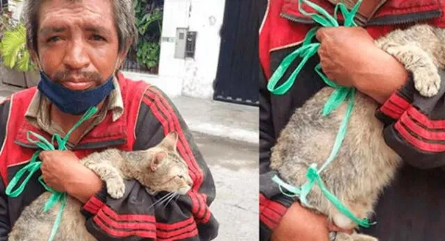 Persona de la calle rescata y cuida a gatito que querían matar en el distrito limeño. Foto: Facebook | Composición el Popular