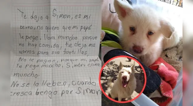 La historia del perrito y el niño se volvió conocida y toco los corazones de los cibernautas.