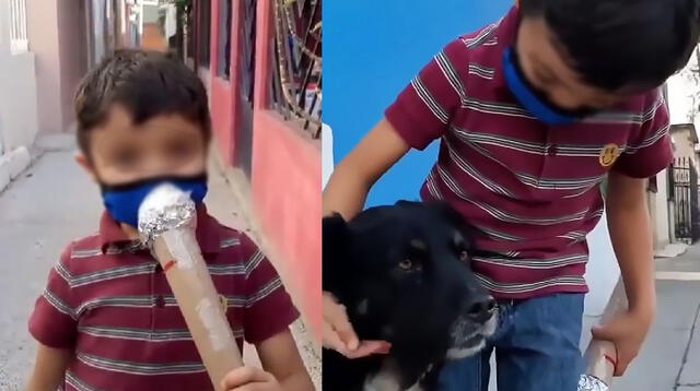 Niño sale en busca de perritos de la calle para entrevistarlos y promover la adopción