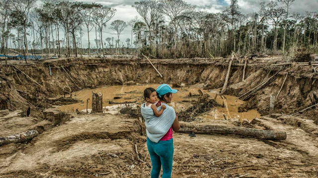 Madre de Dios se han perdido más de 100,000 hectáreas de bosques