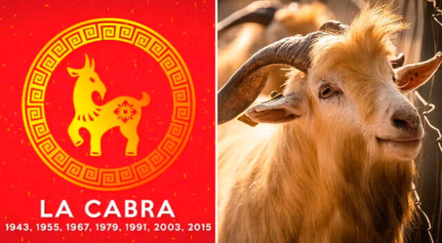 Horóscopo Chino 2022 sobre salud, dinero y amor para la Cabra