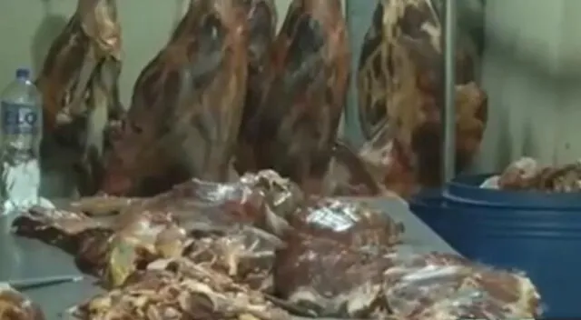 Ate: 7 mil kilos de carne de caballo iban a ser vendidos como res en mercados de Lima y Callao [VIDEO]