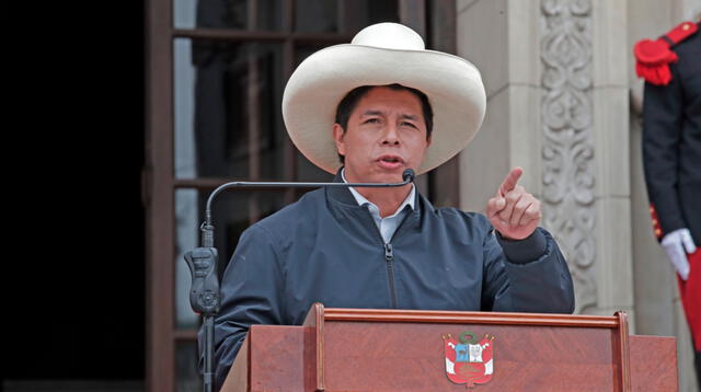 Pedro Castillo: Abogado exigió destituir a procurador Daniel Soria por presuntamente burlarse del presidente