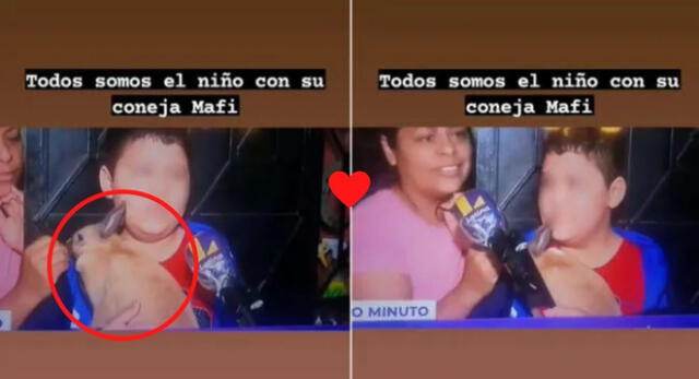 El menor recibe elogios en las redes sociales al no abandonar a su conejo tras el sismo 5.6 registrado en Lima.