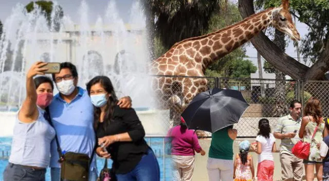Lima: este 18 de enero personas ingresarán gratis al Parque de las Leyendas, Pantanos de Villa y Circuito Mágico del Agua