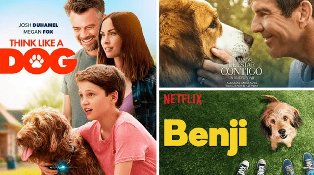 5 películas para ver en Netflix si te gustó ‘Misterio’, el lobo que fue confundido por un perro