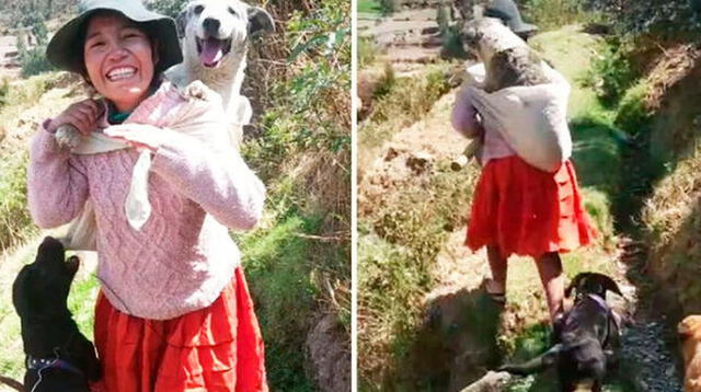 Mujer carga a su perrito como un bebé para que la acompañe a trabajar y se vuelve viral en redes.
