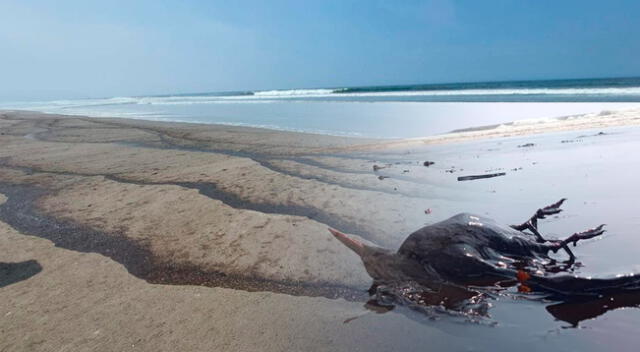 Diversas playas se han teñido de negro.