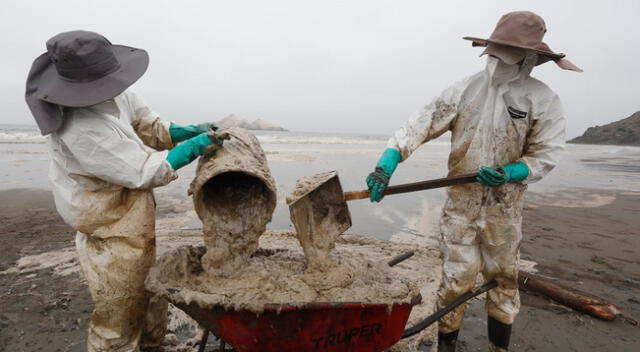Repsol indicó que contratará 700 personas para la descontaminación de las playas