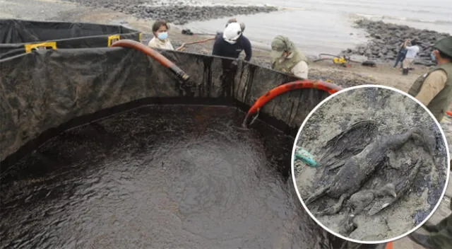 Asociación de empresas lamentó el desastre ecológico en el mar peruano.