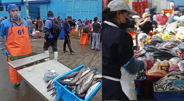 Derrame de petróleo en el litoral peruano no causó incremento en el precio del pescado.