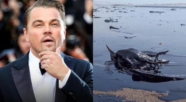 El actor Leonardo DiCaprio se pronunció sobre el derrame de petróleo en Ventanilla, y dio un resúmen de las consecuencias que esto ocasionó.