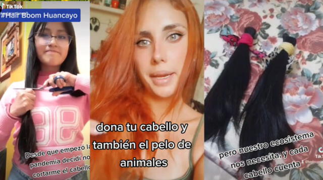 Los videos no han tardado en volverse viral en las redes.