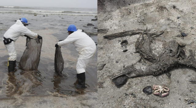 Ancón: continúan los trabajos de limpieza de playas tras derrame de petróleo