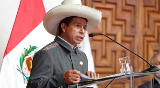 Pedro Castillo mencionó que desde el Gobierno no permitirán la vulneración de la participación política de los peruanos.
