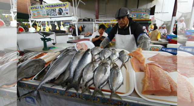 Precio del pescado presenta bajas en mercados de la capital.