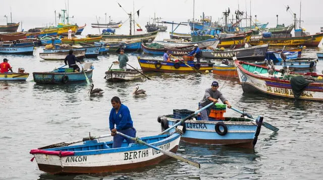 Pescadores artesanales recibirán un apoyo económico del Estados tras el derrame de petróleo.