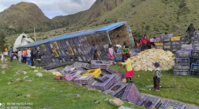Tráiler se despista y cientos de pollos mueren aplastados en Ayacucho