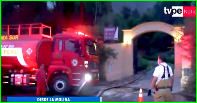 La Molina logran controlar incendio forestal.