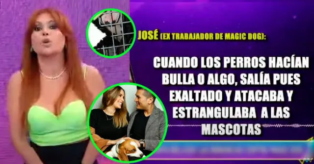 Magaly Medina expuso el maltrato que se comete dentro de Magic Dog, lugar donde Deyvis Orosco y Cassandra Sánchez dejaron a sus mascotas.