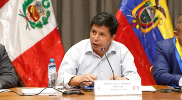 Pedro Castillo: “Hay que abrir las fronteras, pronto lo haremos con Chile, Bolivia, Colombia y Brasil”