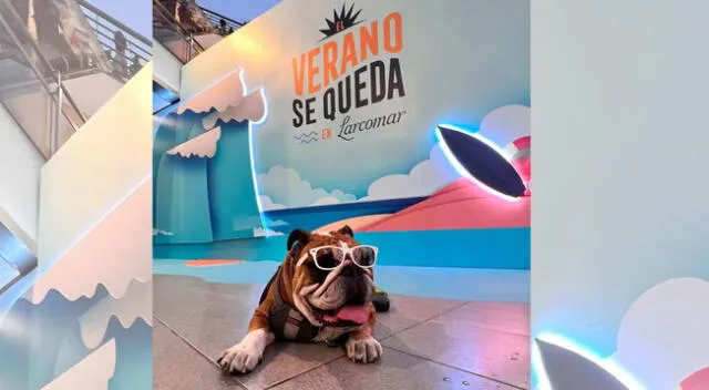 Larcomar ya es Pet Friendly