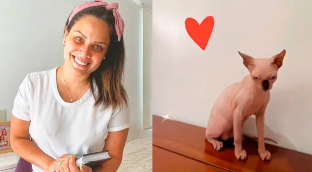 La influencer Andrea San Martín adoptó a esta raza de felino para sorprender a sus hijas.