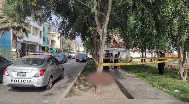 Encuentran cadáver a plena luz del día en La Victoria.