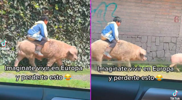 El pequeño le ordenó a su cerdo que vaya a toda velocidad.