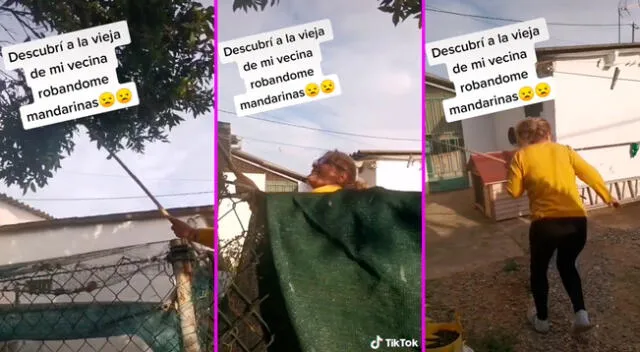 La mujer grabó todo y expuso a su vecina ladrona de mandarinas.