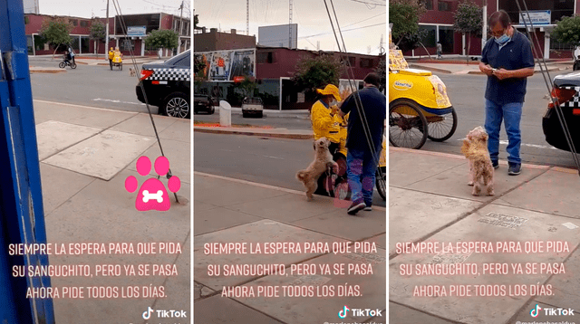 El perrito se emocionó y saltó de felicidad al notar que se acercaba una mujer vendedora de helados. Foto: captura de TikTok