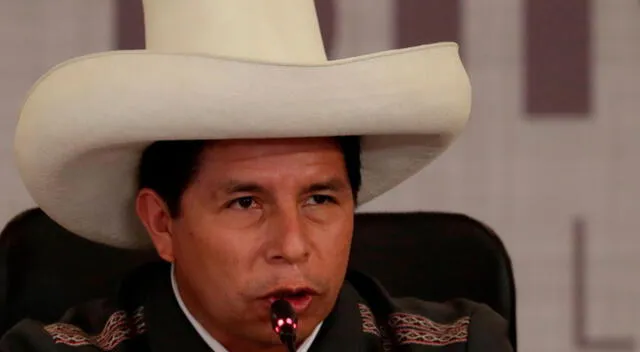 Pedro Castillo busca declarar como nulo la acusación en su contra por una supuesta traición a la patria.