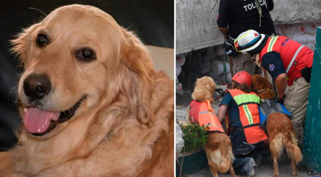 Nalah, de 10 años, ayudó en labores de rescate tras el sismo del 19 de septiembre de 2017.