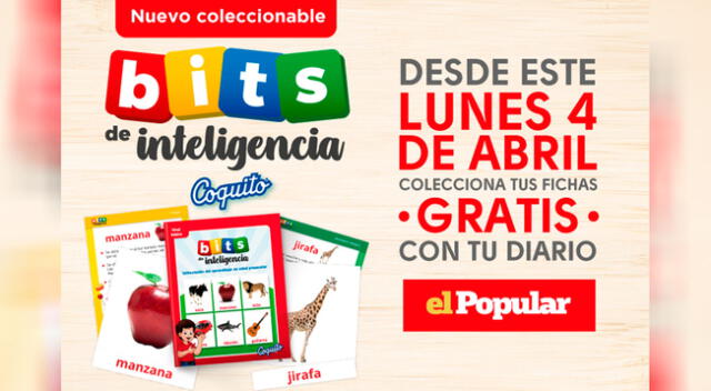 Coleccionable bits de inteligencia Coquito