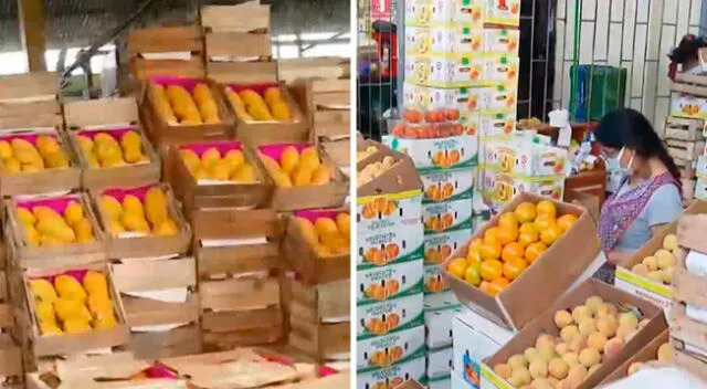 Más de 70 camiones llegaron durante la madrugada al Mercado de Frutas, en San Luis, gracias al desbloqueo de algunas vías.
