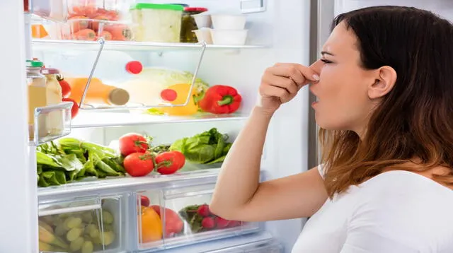 Conoce cómo erradicar el mal olor de tu refrigeradora