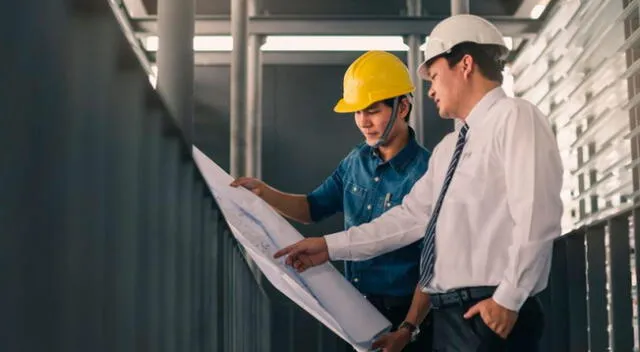 Características que conforman el perfil del ingeniero.