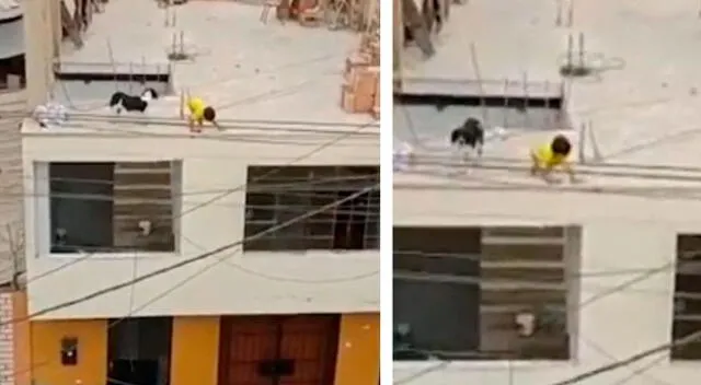 Niño estaba jugando con su perro al bordo del abismo sin control de un adulto.