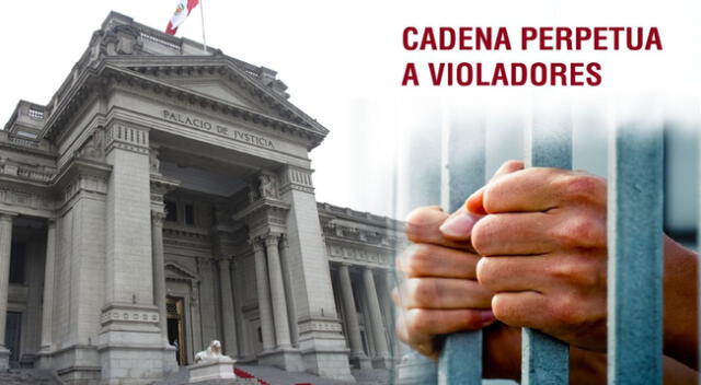 Poder Judicial dictó 20 condenas de cadena perpetua a violadores de menores de edad